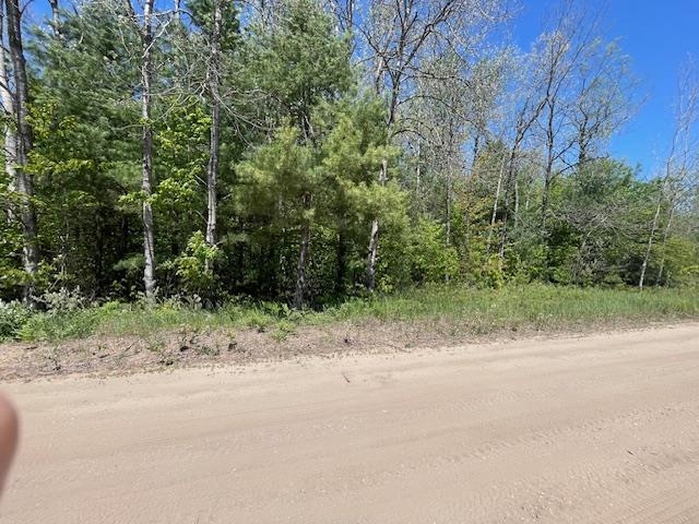 0 Aylsworth Road Beulah, MI 49617 - Photo 3 of 7