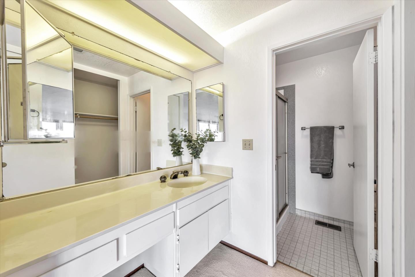 459 Roberts Road Pacifica, CA 94044 - Photo 28 of 50 a bathroom with a sink and mirror