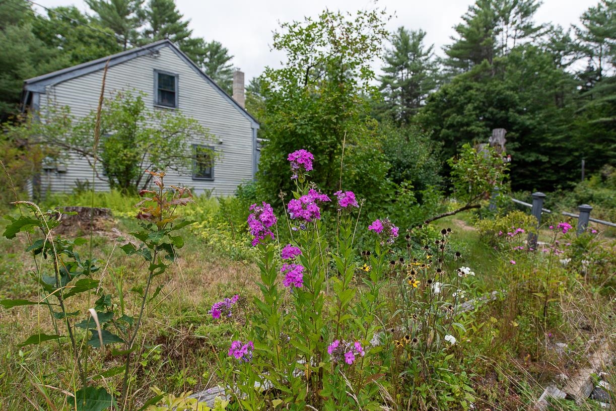 176 Waukeena Lake Road Danbury, NH 03230 - Photo 31 of 35 Gallery Image 31