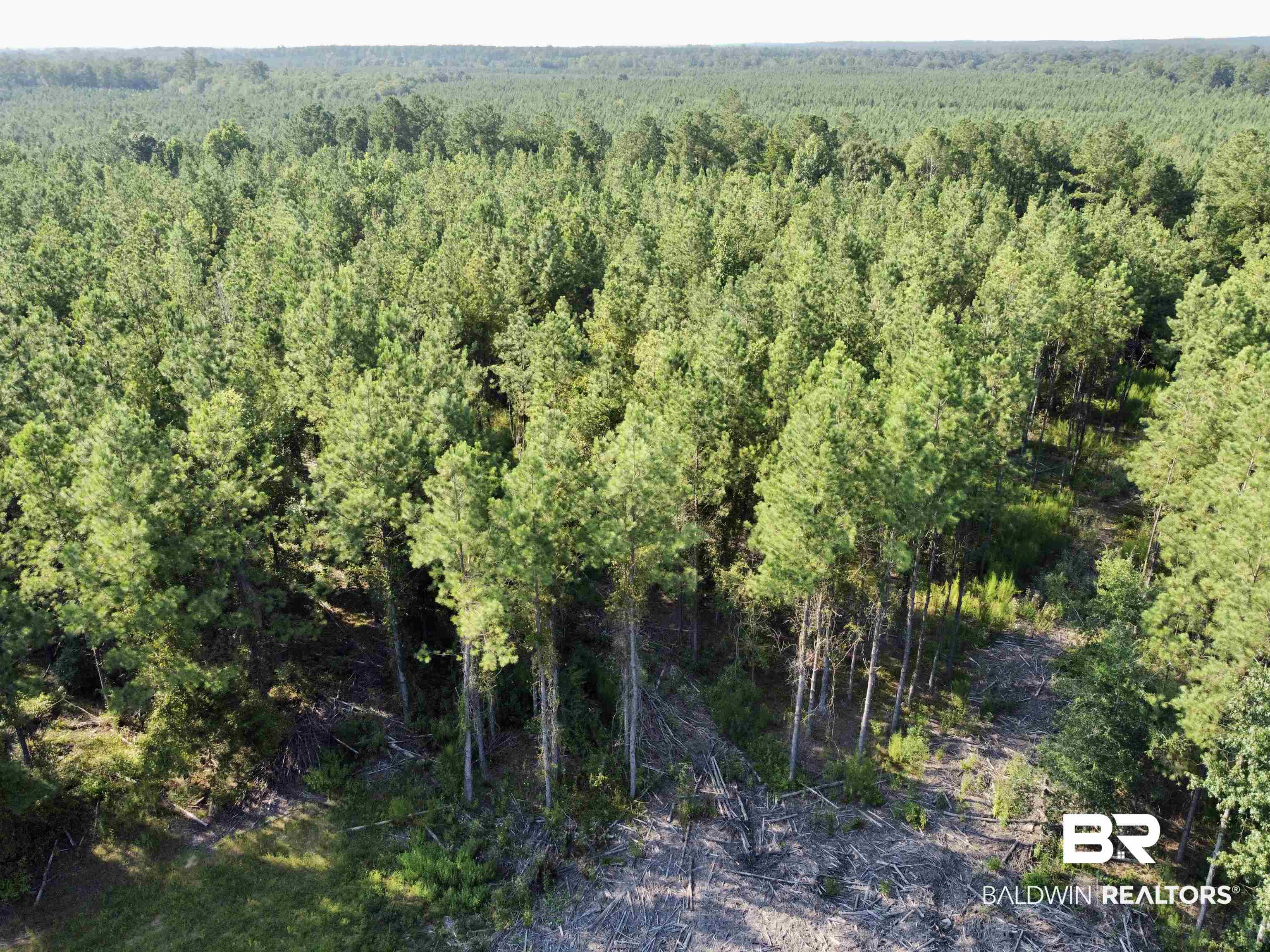 0 County Road 11 Repton, AL 36475 - Photo 26 of 34