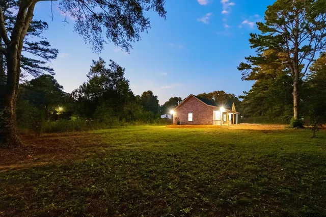 a view of a field with a tree