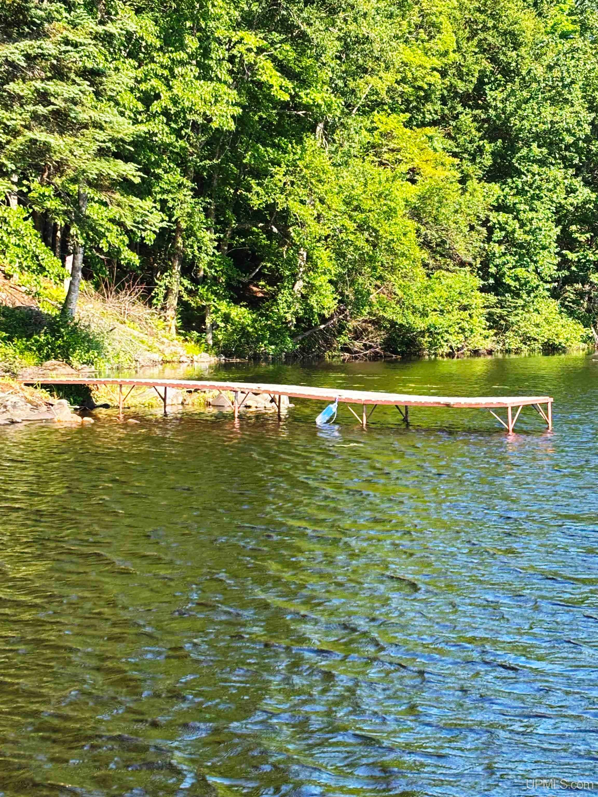 Tbd West Tamarack Lake Road, Unit LOT 5 Watersmeet, MI 49969 - Photo 9 of 66