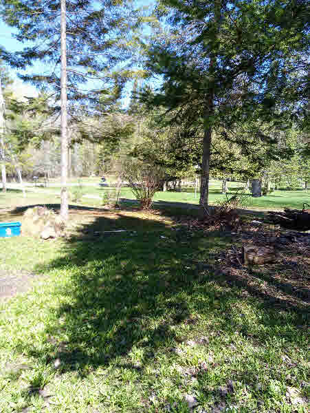 4055 Miller Road Sterling, MI 48659 - Photo 4 of 9