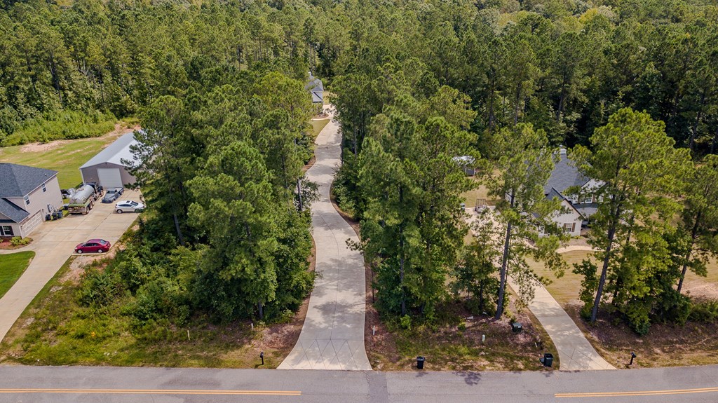 1159 James Way Fortson, GA 31808 - Photo 46 of 48 Aerial from Road
