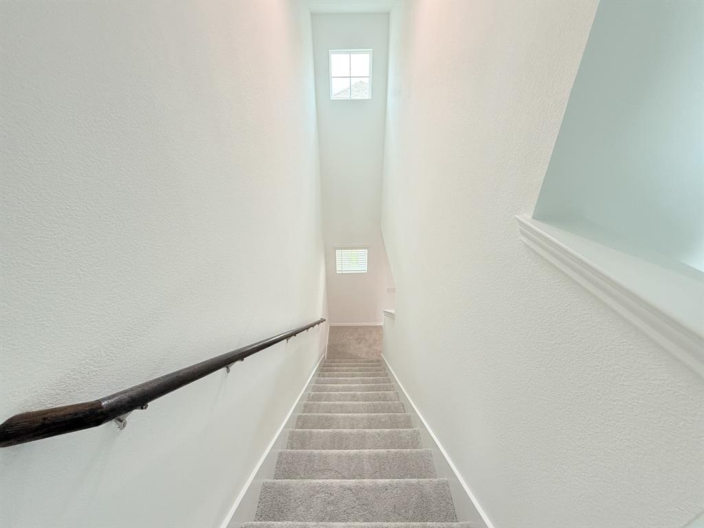 1008 Clear Dusk Lane Forney, TX 75126 - Photo 15 of 24