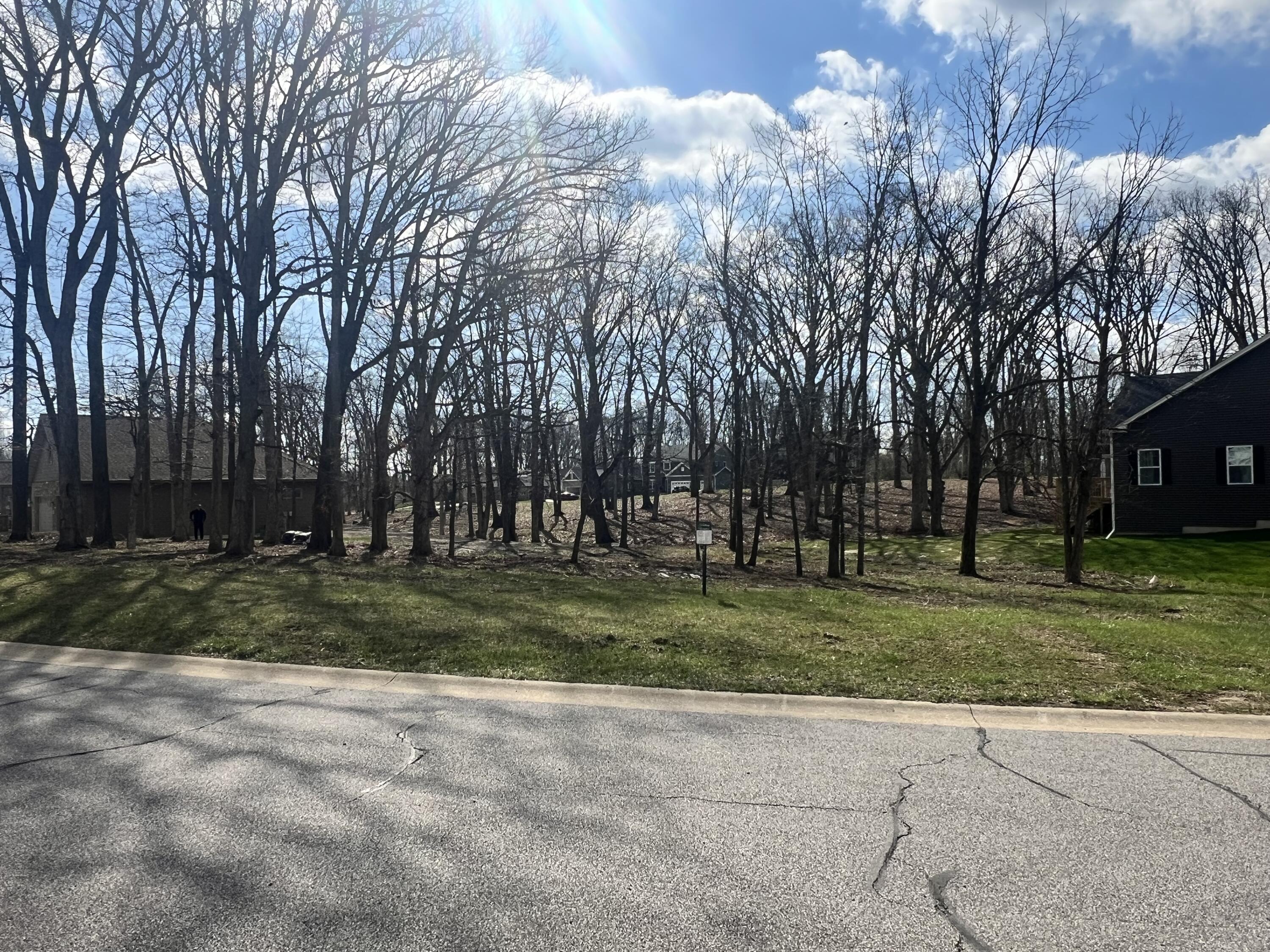 713 Druim Trail Crown Point, IN 46307 - Photo 5 of 5 a view of a park with large trees