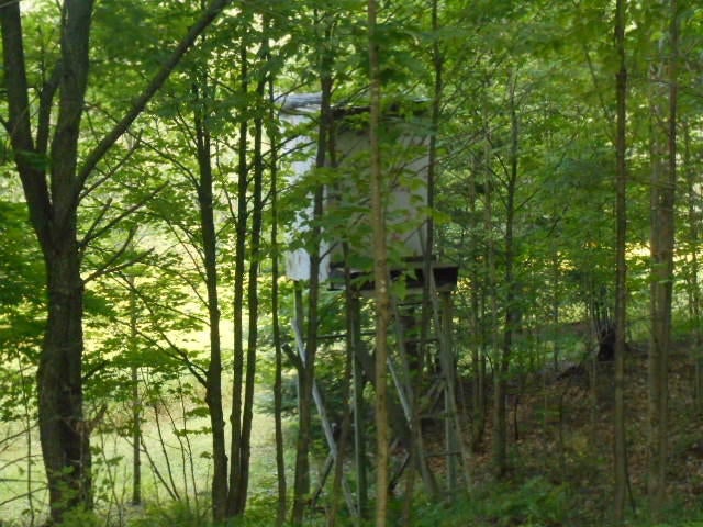 1545 North Chip Lake Road Germfask, MI 49836 - Photo 61 of 72 Gallery Image 61