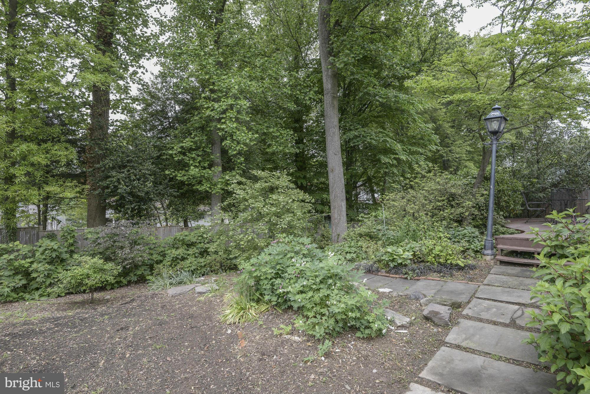 10823 Margate Road Silver Spring, MD 20901 - Photo 29 of 30 a view of a yard with a tree