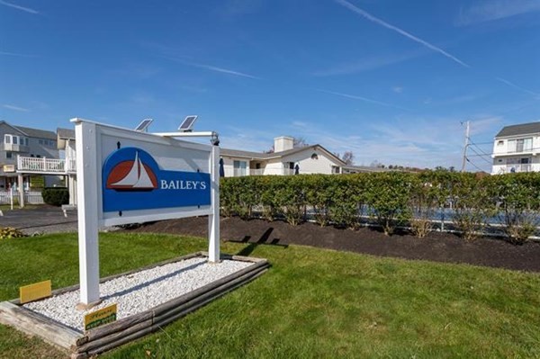 a view of a backyard with plants