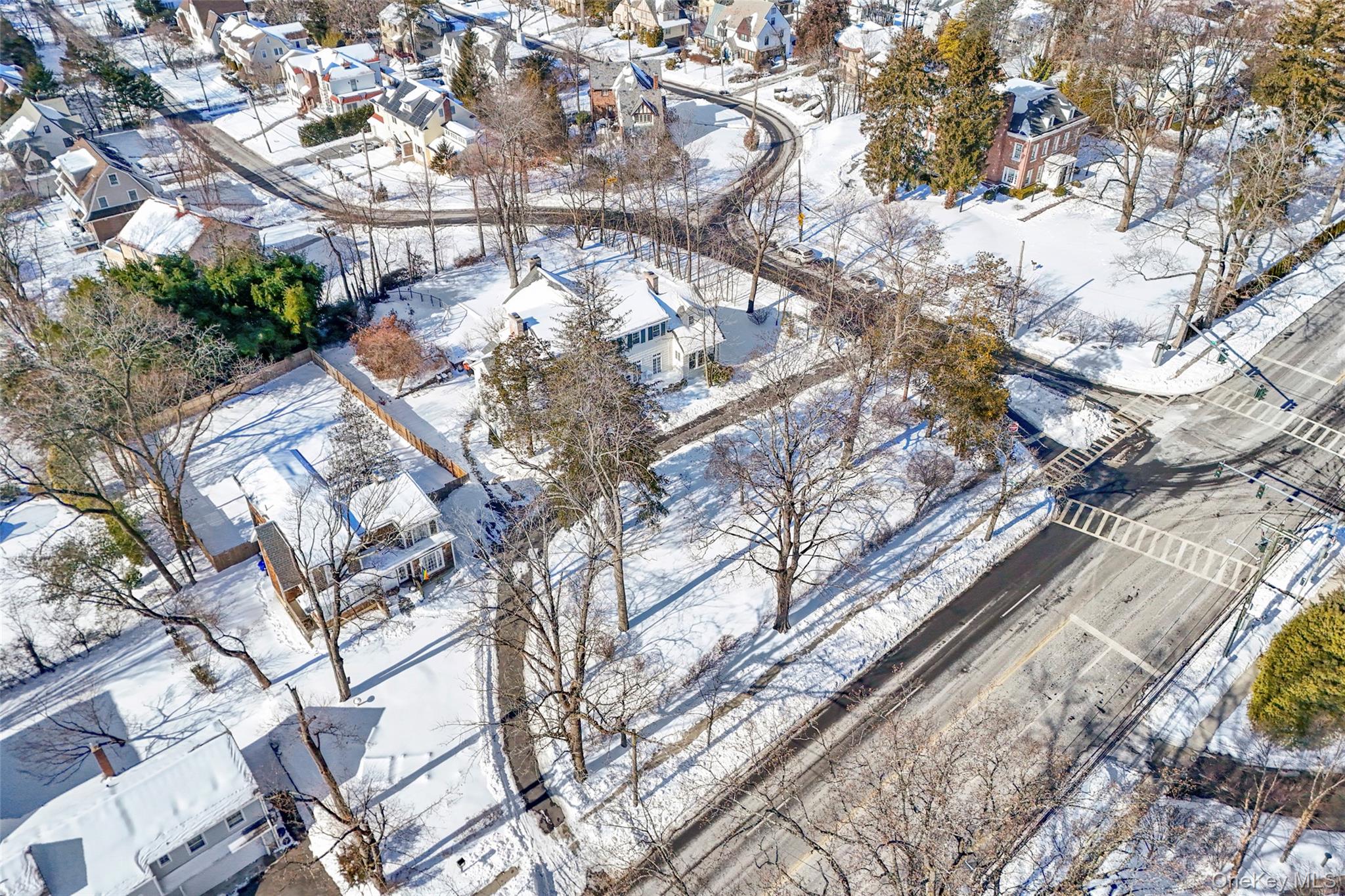 1146 North Avenue New Rochelle, NY 10804 - Photo 6 of 50 a backyard of a building with large trees