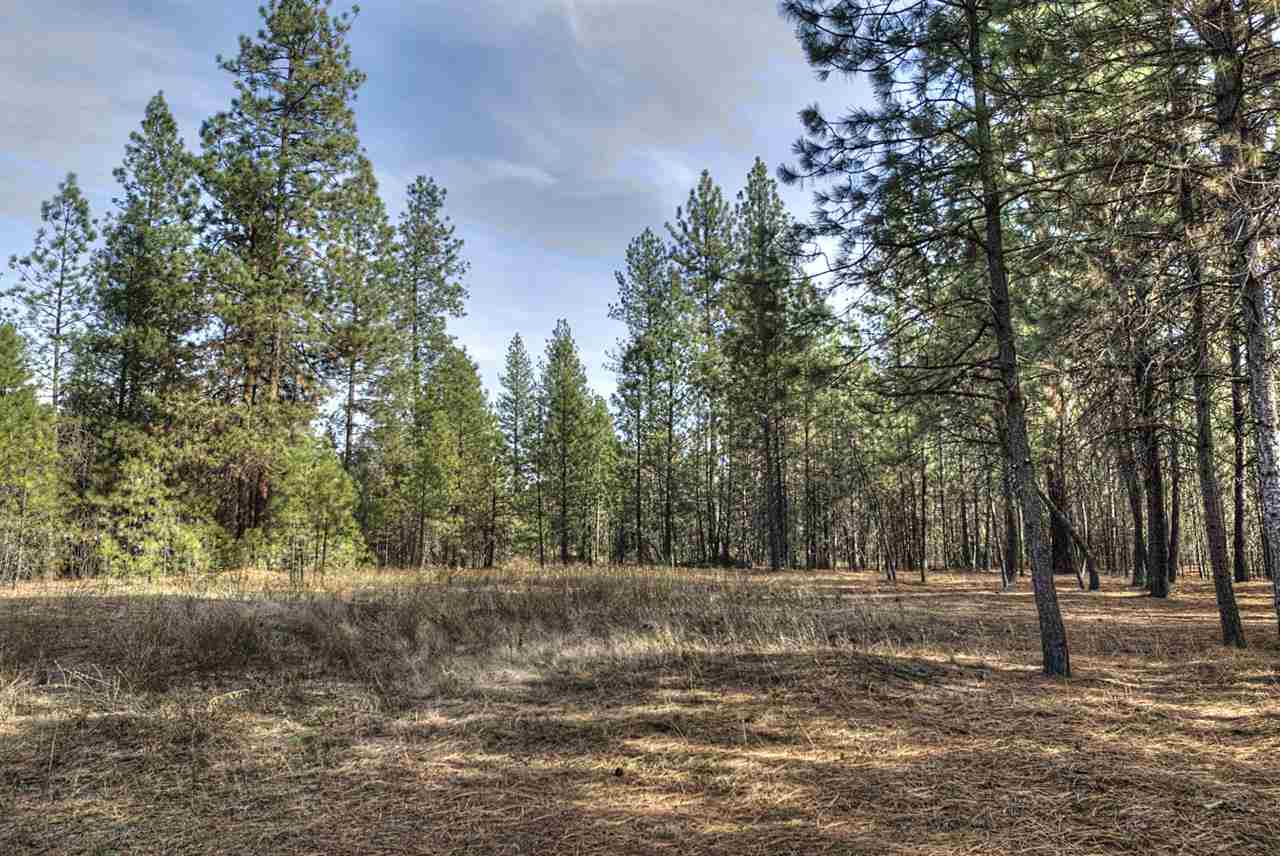 16112 North Yale Road Colbert, WA 99005 - Photo 20 of 20