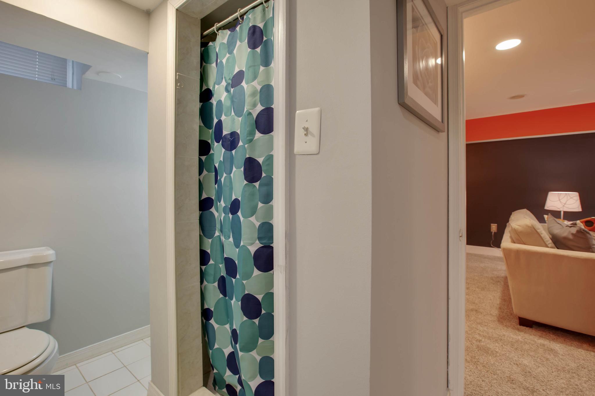 9200 Flower Avenue Silver Spring, MD 20901 - Photo 30 of 35 Lower level Full bath