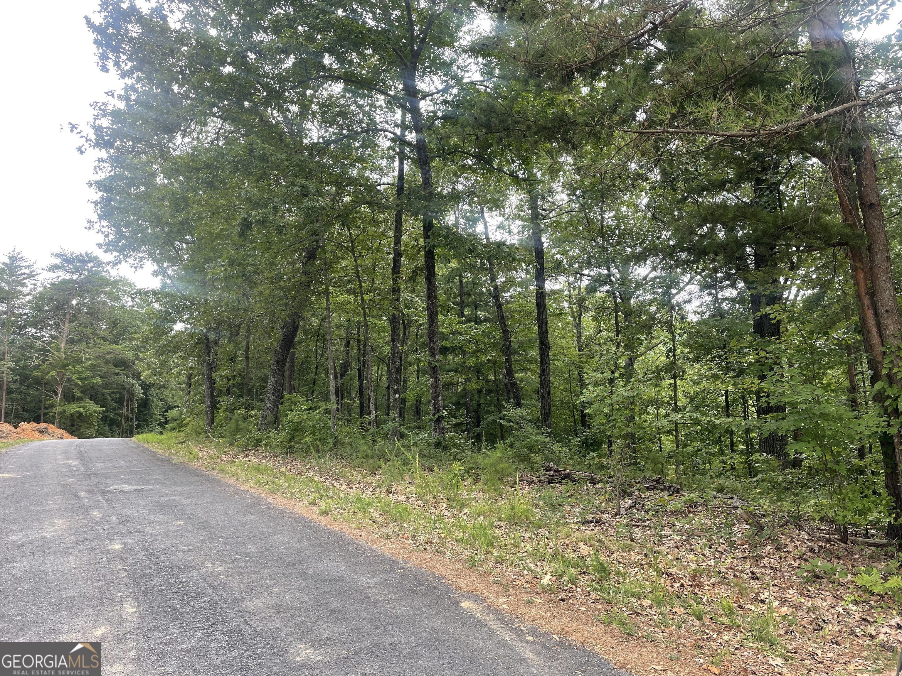 a view of outdoor space and trees