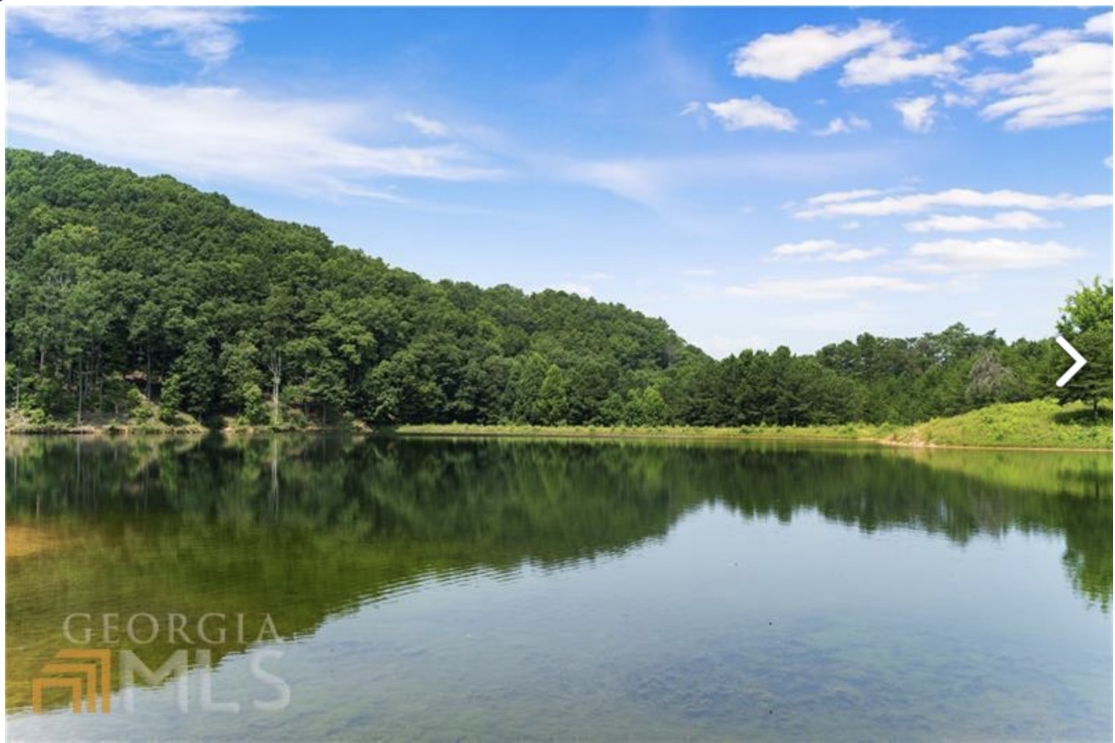 1401 Foxhound Trail Northeast Ranger, GA 30734 - Photo 22 of 34 a view of a lake with a yard