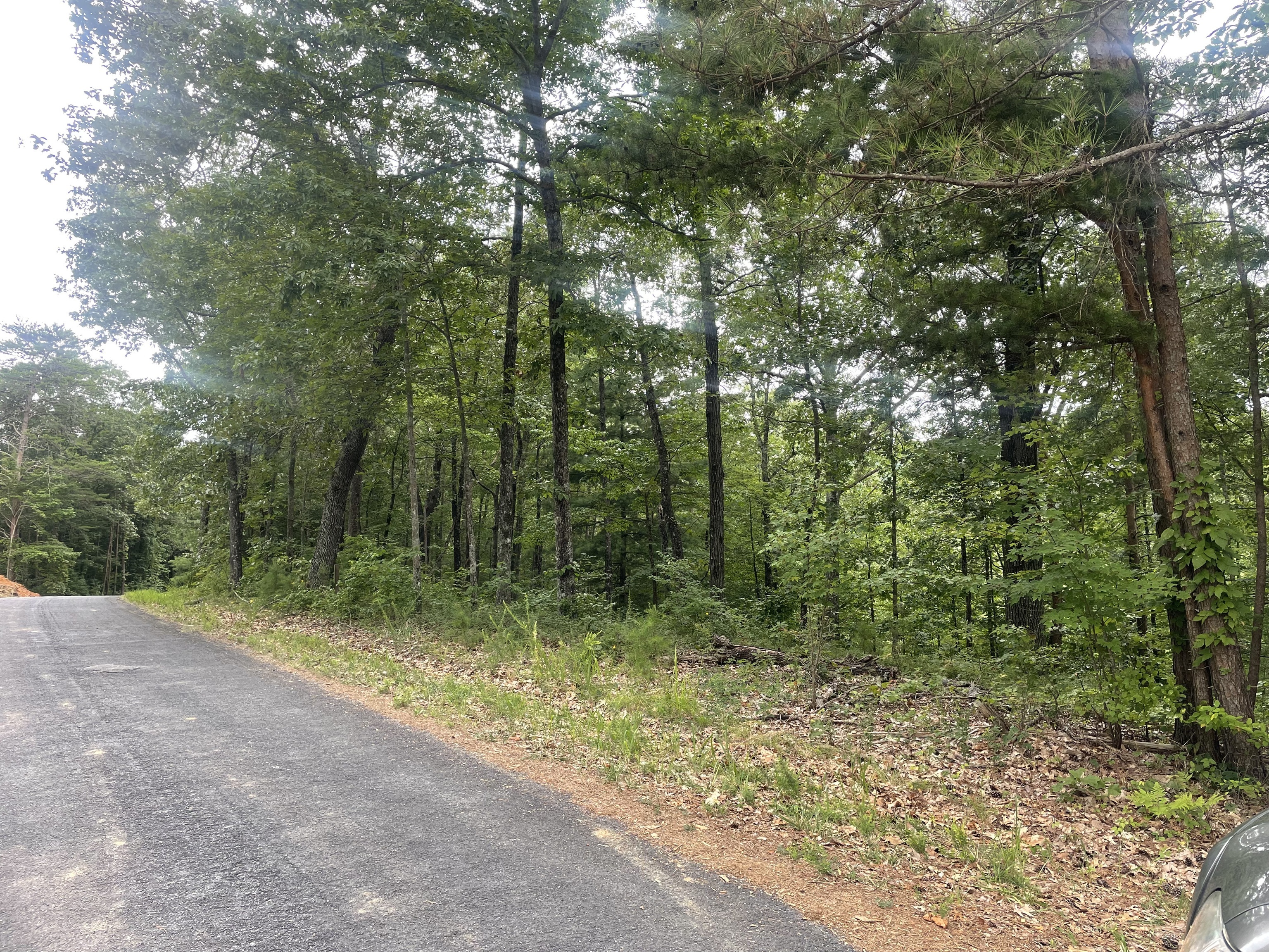 1401 Foxhound Trail Northeast Ranger, GA 30734 - Photo 3 of 34 a view of outdoor space and trees