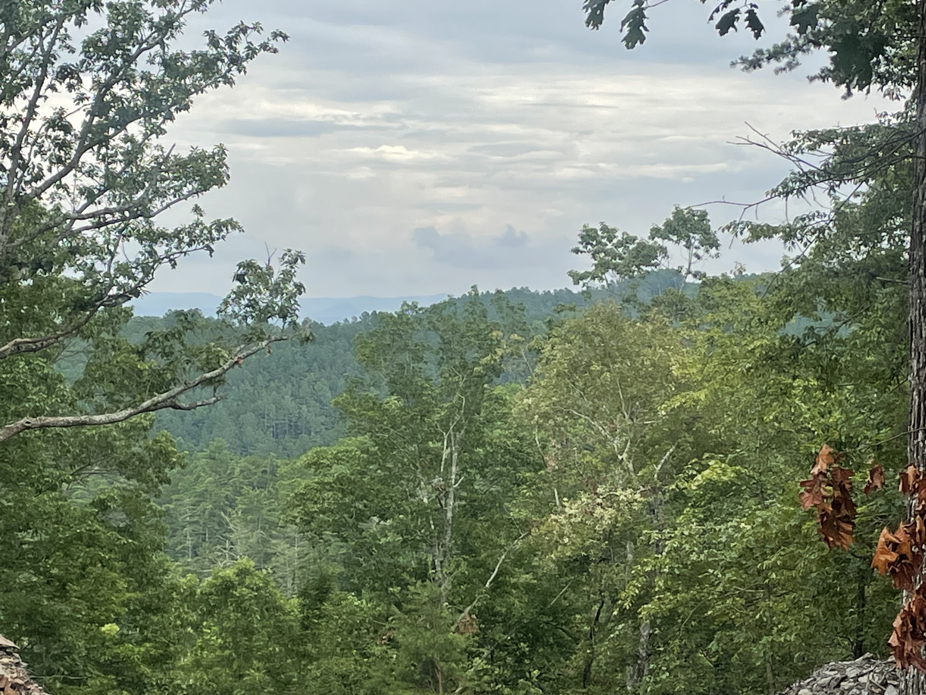 1401 Foxhound Trail Northeast Ranger, GA 30734 - Photo 5 of 34 a view of a lake with a yard