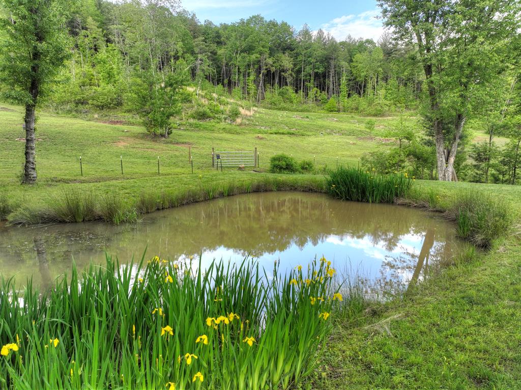 1956 Devils Den Road Epworth, GA 30541 - Photo 52 of 84