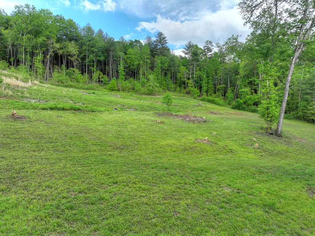 1956 Devils Den Road Epworth, GA 30541 - Photo 53 of 84