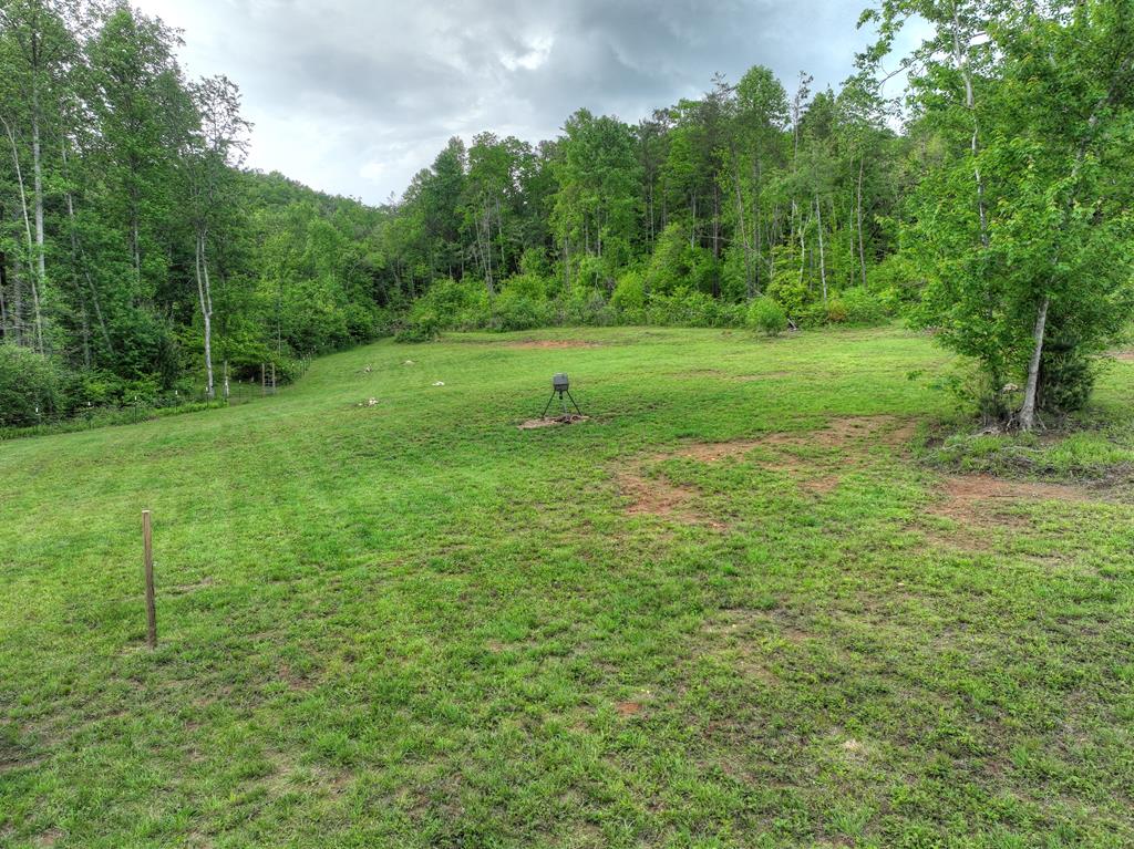 1956 Devils Den Road Epworth, GA 30541 - Photo 54 of 84