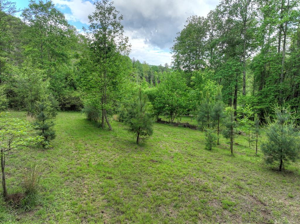 1956 Devils Den Road Epworth, GA 30541 - Photo 56 of 84