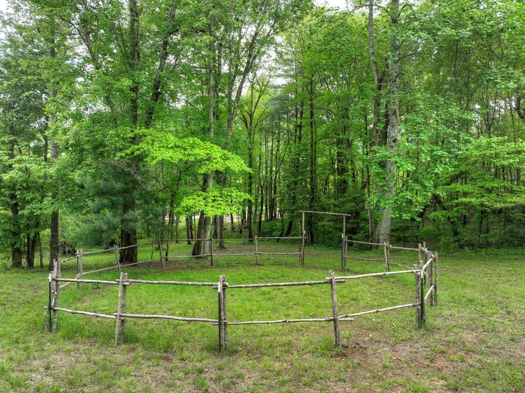 1956 Devils Den Road Epworth, GA 30541 - Photo 58 of 84