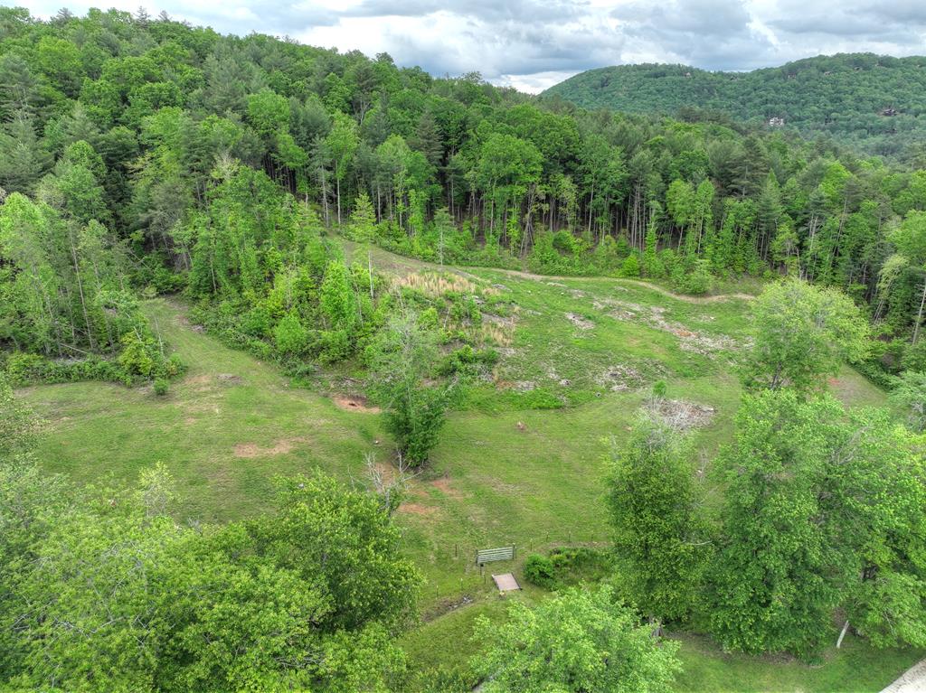 1956 Devils Den Road Epworth, GA 30541 - Photo 61 of 84