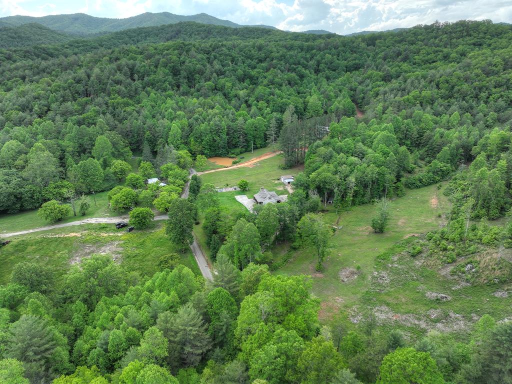 1956 Devils Den Road Epworth, GA 30541 - Photo 64 of 84