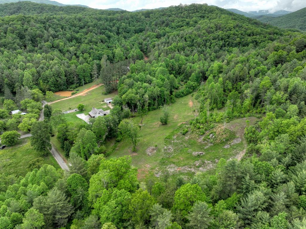 1956 Devils Den Road Epworth, GA 30541 - Photo 65 of 84