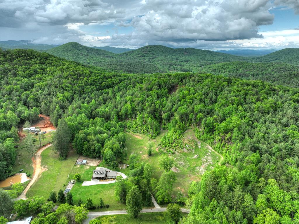 1956 Devils Den Road Epworth, GA 30541 - Photo 67 of 84