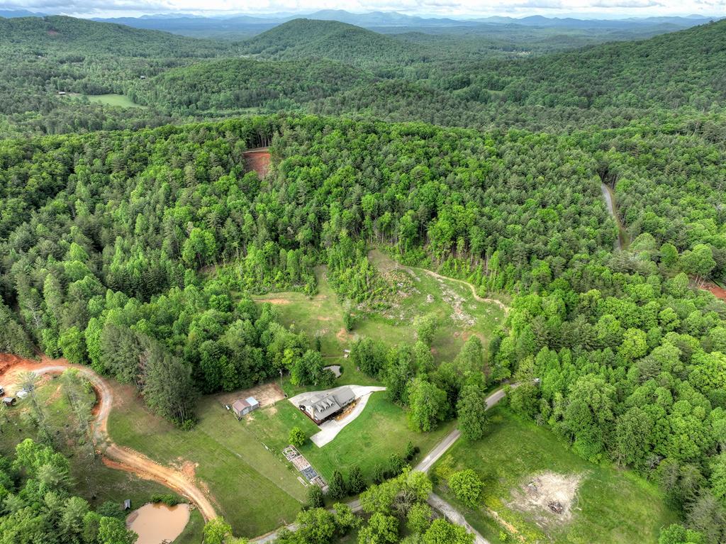 1956 Devils Den Road Epworth, GA 30541 - Photo 68 of 84