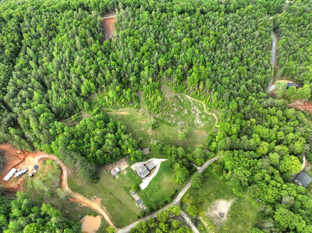 1956 Devils Den Road Epworth, GA 30541 - Photo 69 of 84