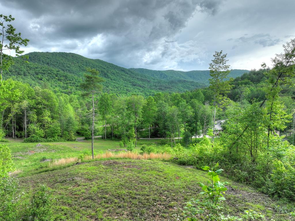 1956 Devils Den Road Epworth, GA 30541 - Photo 71 of 84