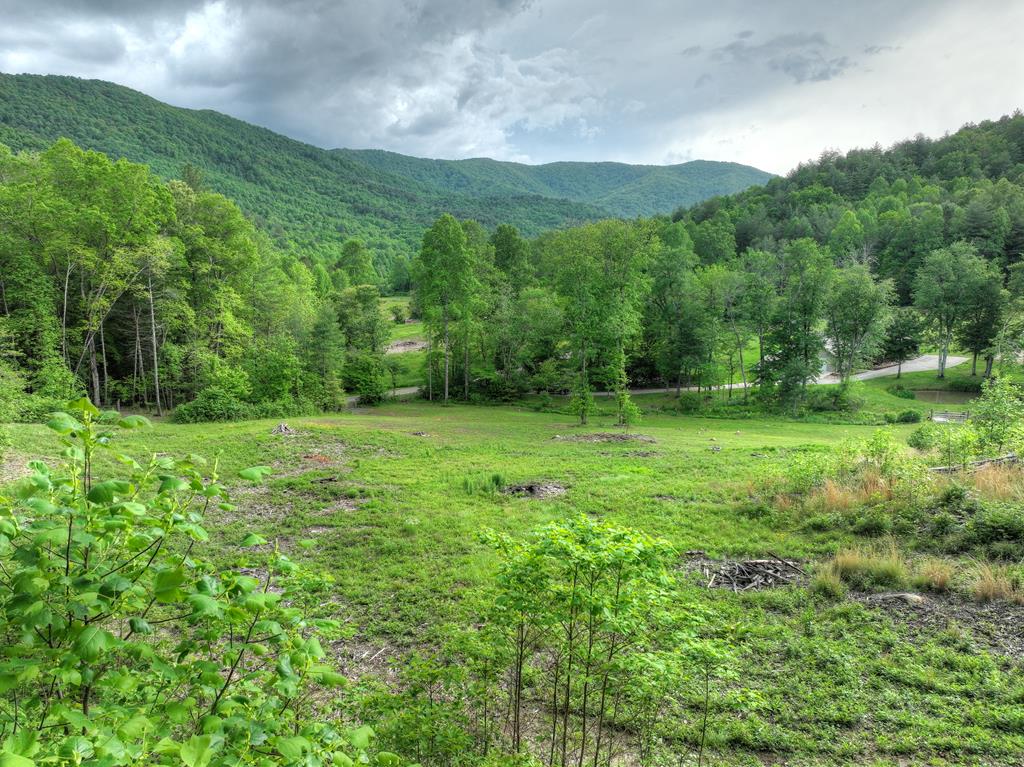 1956 Devils Den Road Epworth, GA 30541 - Photo 72 of 84