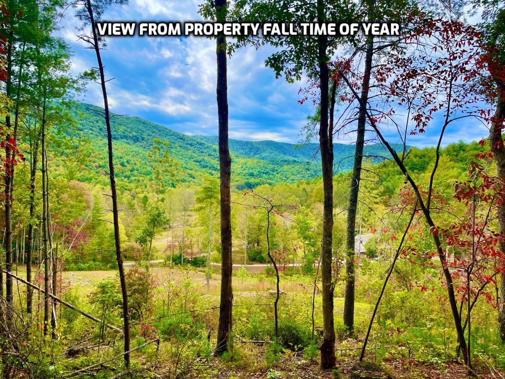 1956 Devils Den Road Epworth, GA 30541 - Photo 77 of 84