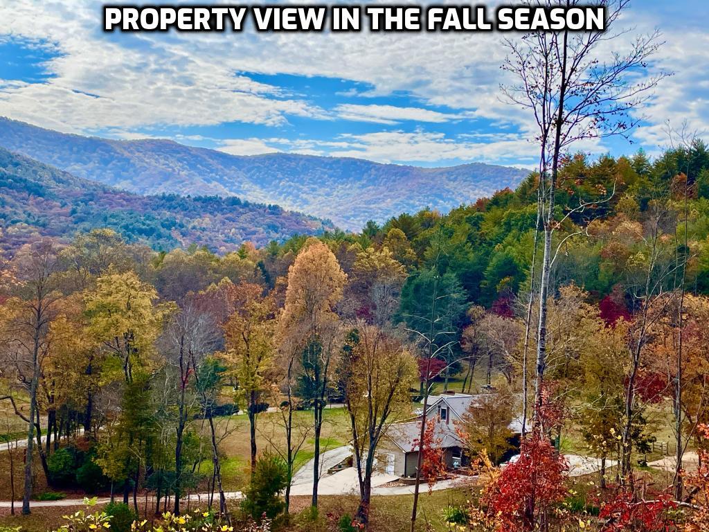 1956 Devils Den Road Epworth, GA 30541 - Photo 78 of 84