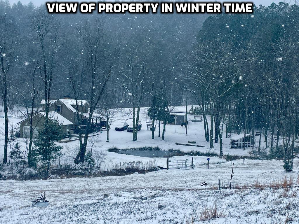 1956 Devils Den Road Epworth, GA 30541 - Photo 80 of 84