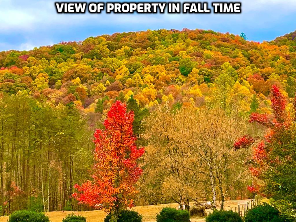 1956 Devils Den Road Epworth, GA 30541 - Photo 83 of 84