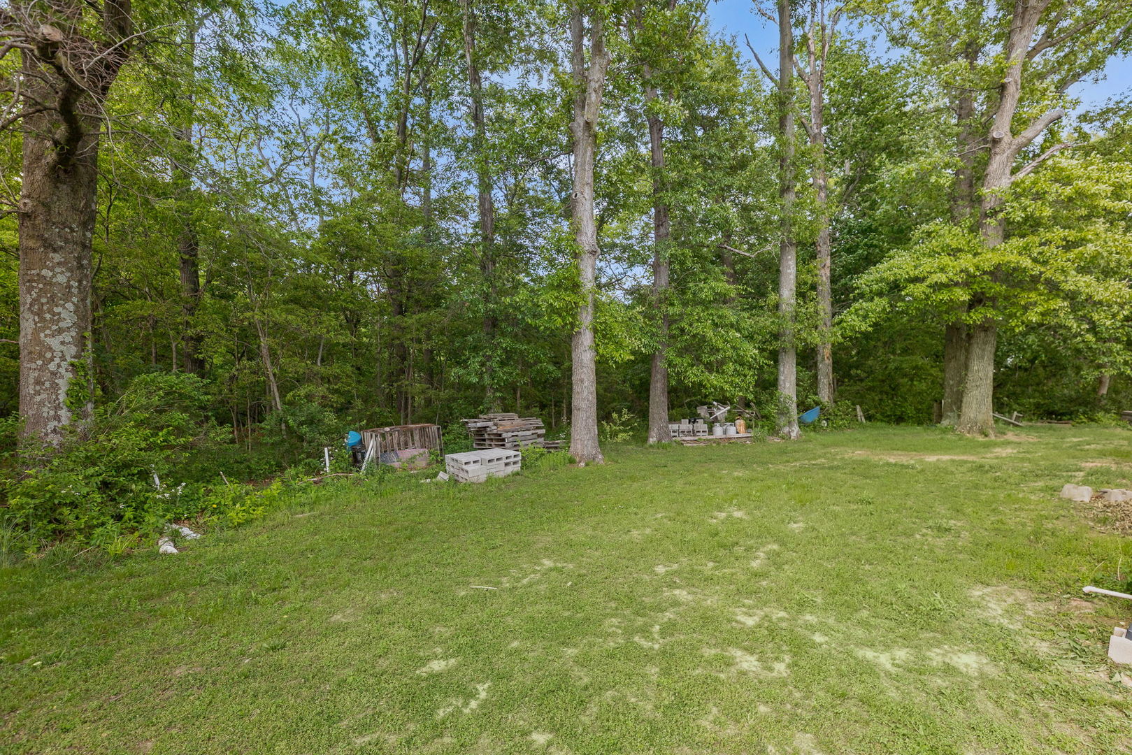 20100 Diamond Springs Road Carlyle, IL 62231 - Photo 6 of 41