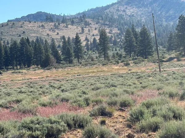 $50,000 | 364 Wrangler Drive, Loyalton, CA 96118