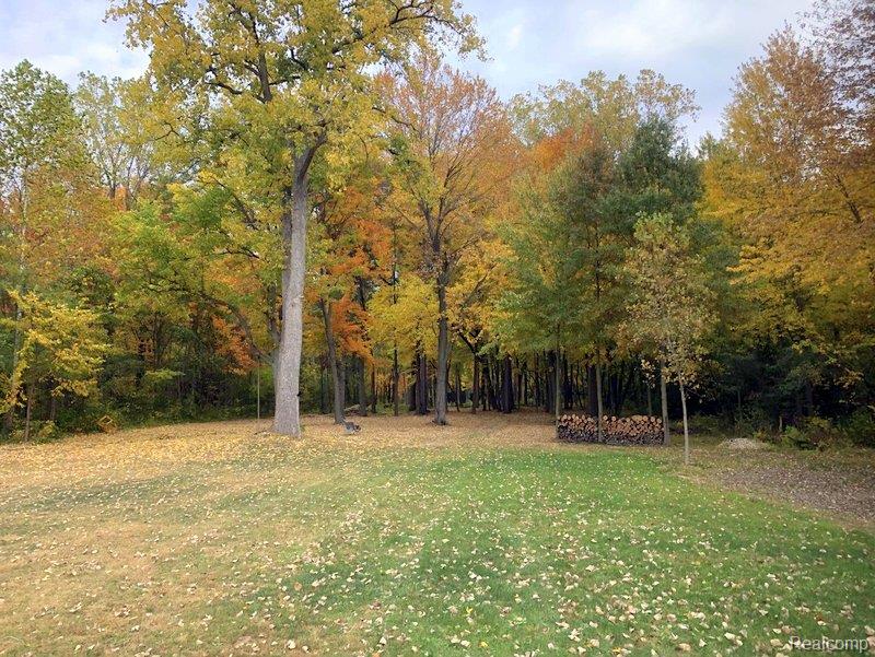 26429 Inkster Road Flat Rock, MI 48134 - Photo 66 of 93 Gallery Image 66