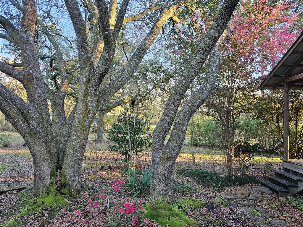 12319 Baham Road Covington, LA 70433 - Photo 39 of 41 Gallery Image 39