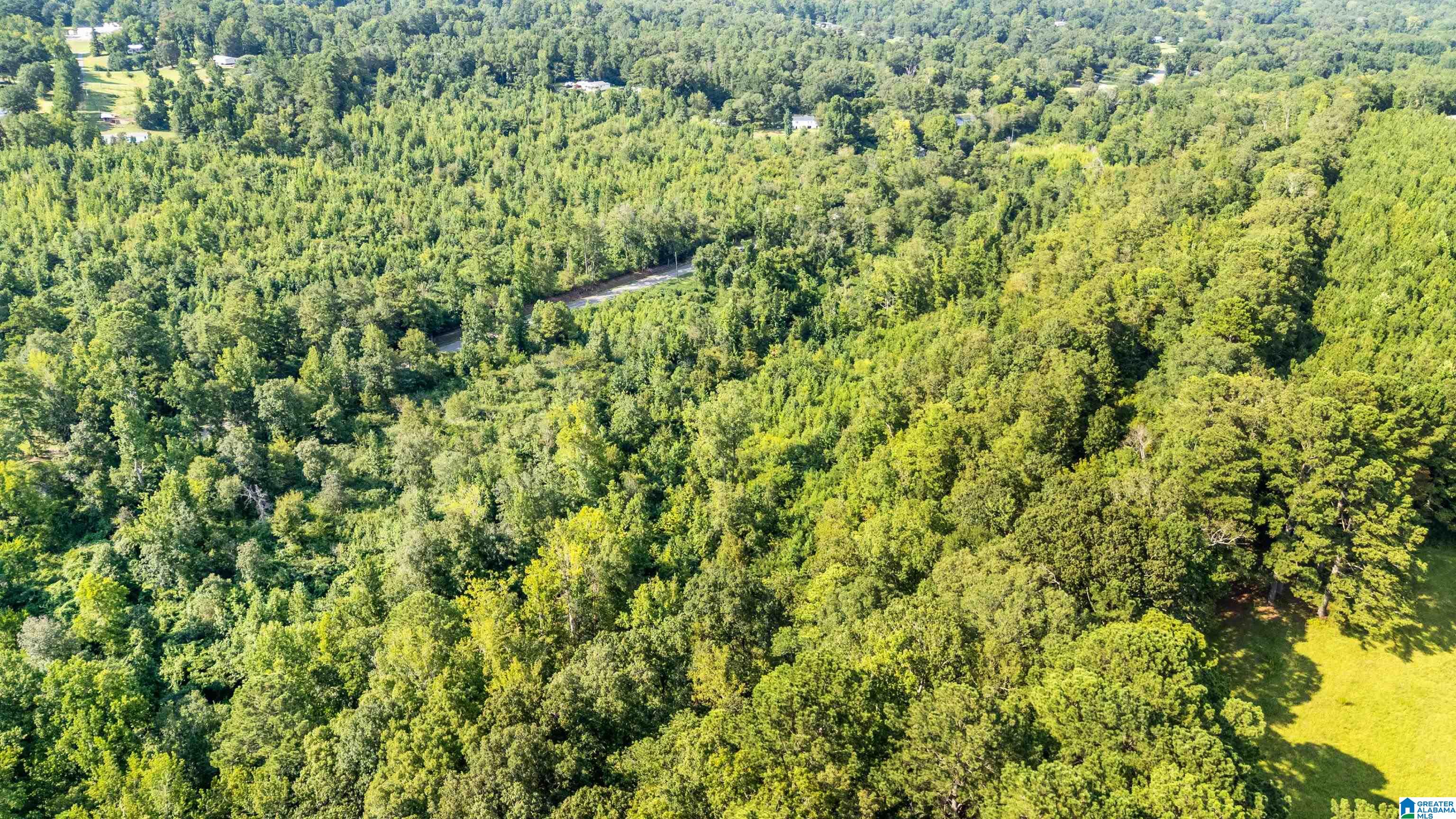 0 Warrior Jasper Road, Unit 23 AC Dora, AL 35062 - Photo 5 of 18