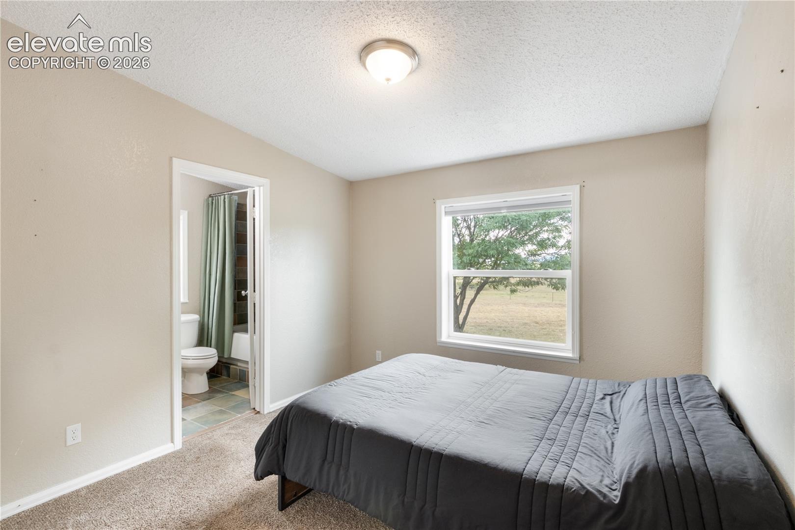 4075 Wileys Road Peyton, CO 80831 - Photo 34 of 49 Gallery Image 34