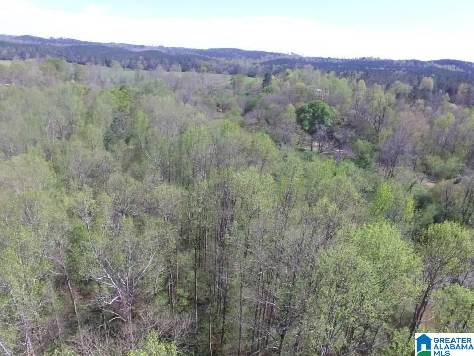 0 County Road 60, Unit 1 Heflin, AL 36264 - Photo 6 of 14