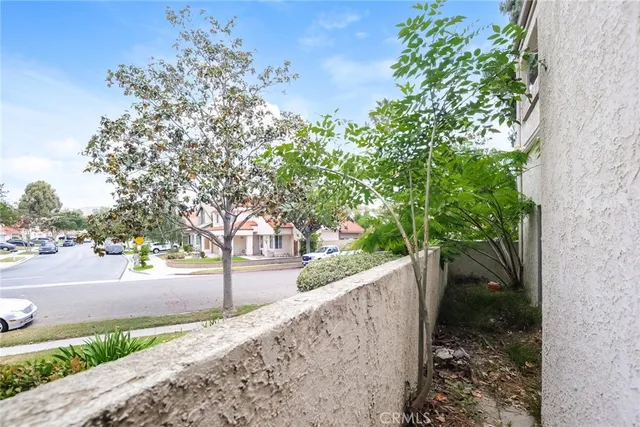 a view of a yard with plants and trees