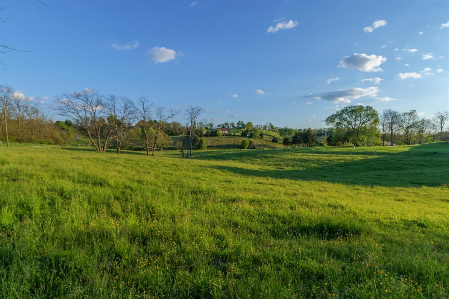 4572 Ecton Road Winchester, KY 40391 - Photo 64 of 69 Photo 64