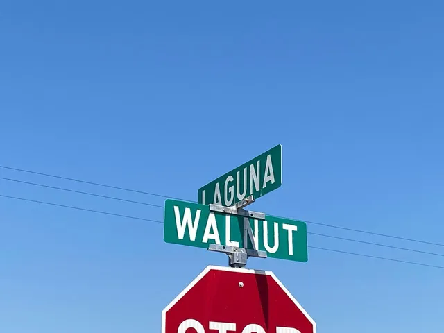 $1,200,000 | 875 West Laguna Avenue, Riverdale, CA 93656