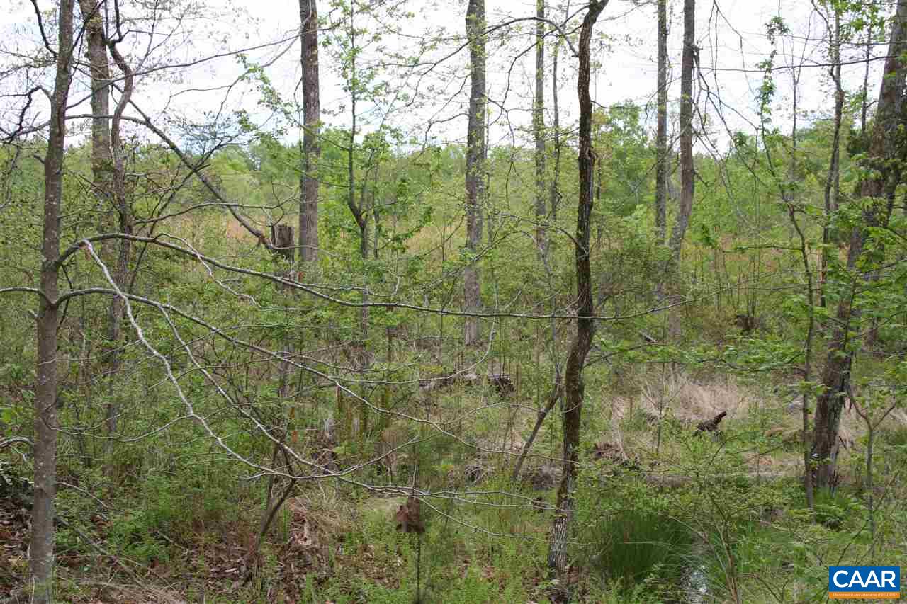 Three Notch'd Road Troy, VA 22974 - Photo 23 of 28 a view of a forest with a tree