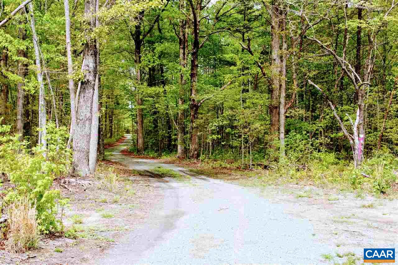 Three Notch'd Road Troy, VA 22974 - Photo 27 of 28 a view of a yard with plants and trees