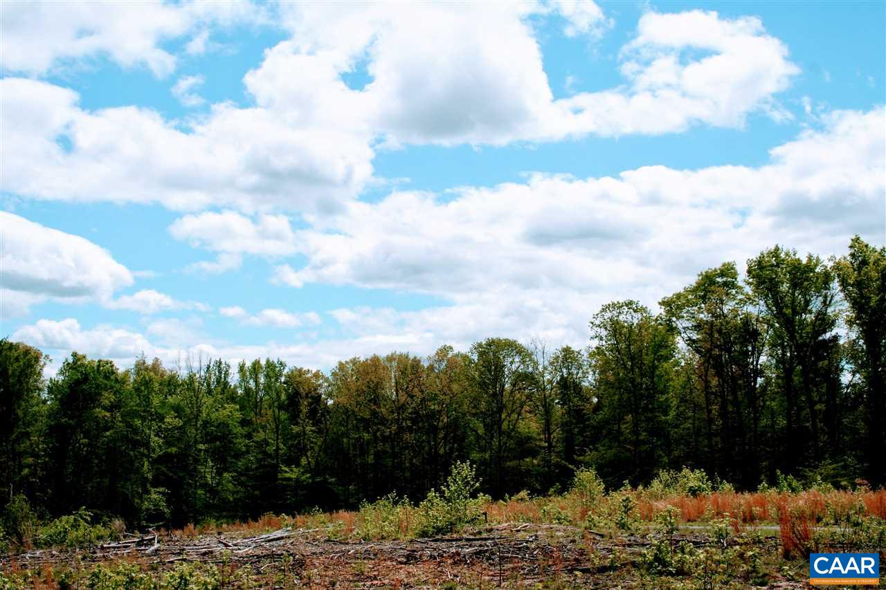 Three Notch'd Road Troy, VA 22974 - Photo 28 of 28 a view of a sky